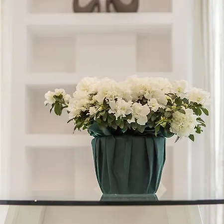 Acropolis Museum - Modern Living I * Афины